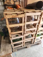 Mostflasche 25 Liter Flaschen Glasflaschen 12 Stück