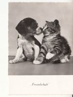Motivkarte Freundschaft ca. 1950