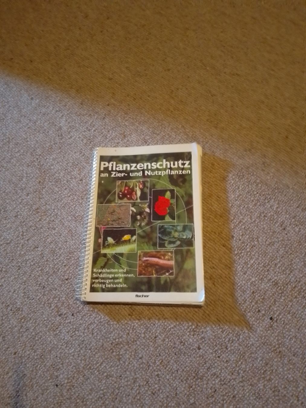 Libri: Pflanzenschutz Buch – Usato da Weinfelden venduto da PaterPio1968