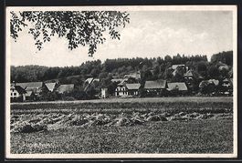 AK Grossaffoltern, Vorimholz, Ortspartie