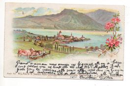 LITHO Swiss Milk Chocolate Klaus SPIEZ Kühe