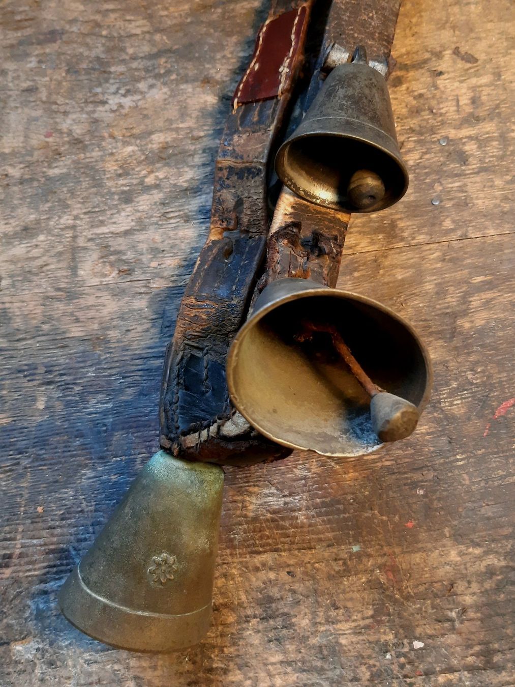 Campanacci mucche: Antiker Glocken Schellen Riemen – Usato da Arbon venduto da torso444 1