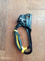 Petzl Ascension