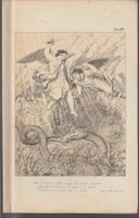 print DANTE divine comedy Purgatorio chant VIII v 100 Angels