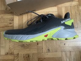 Turnschuhe(46) Salomon Alphacross 4 GTX
