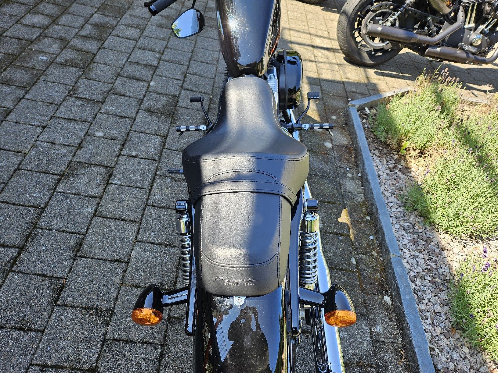 Harley-Davidson Cruisers: Harley-Davidson 48 – D'occasion à Aarau par Revenant8 2