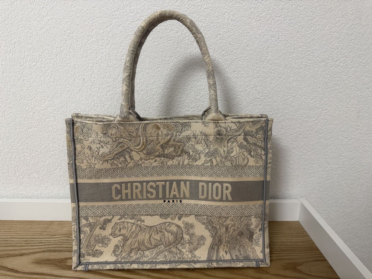Dior Borse da donna: Dior- Sac Tote – Usato da Mont-sur-Lausanne venduto da summerblue