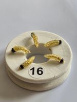 Hegene #16 Typ Fleischmaden Gold
