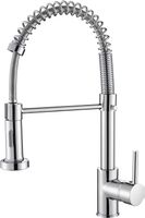 Küchenarmatur mit Pull Down Sprüher Brause