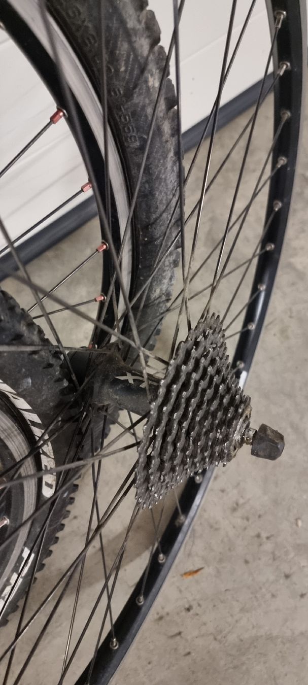 Pezzi di ricambio: 26 Zoll Laufräder – Usato da Seon venduto da Stibinio 4