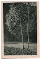 Schiers (Mischol), gelaufen 1924
