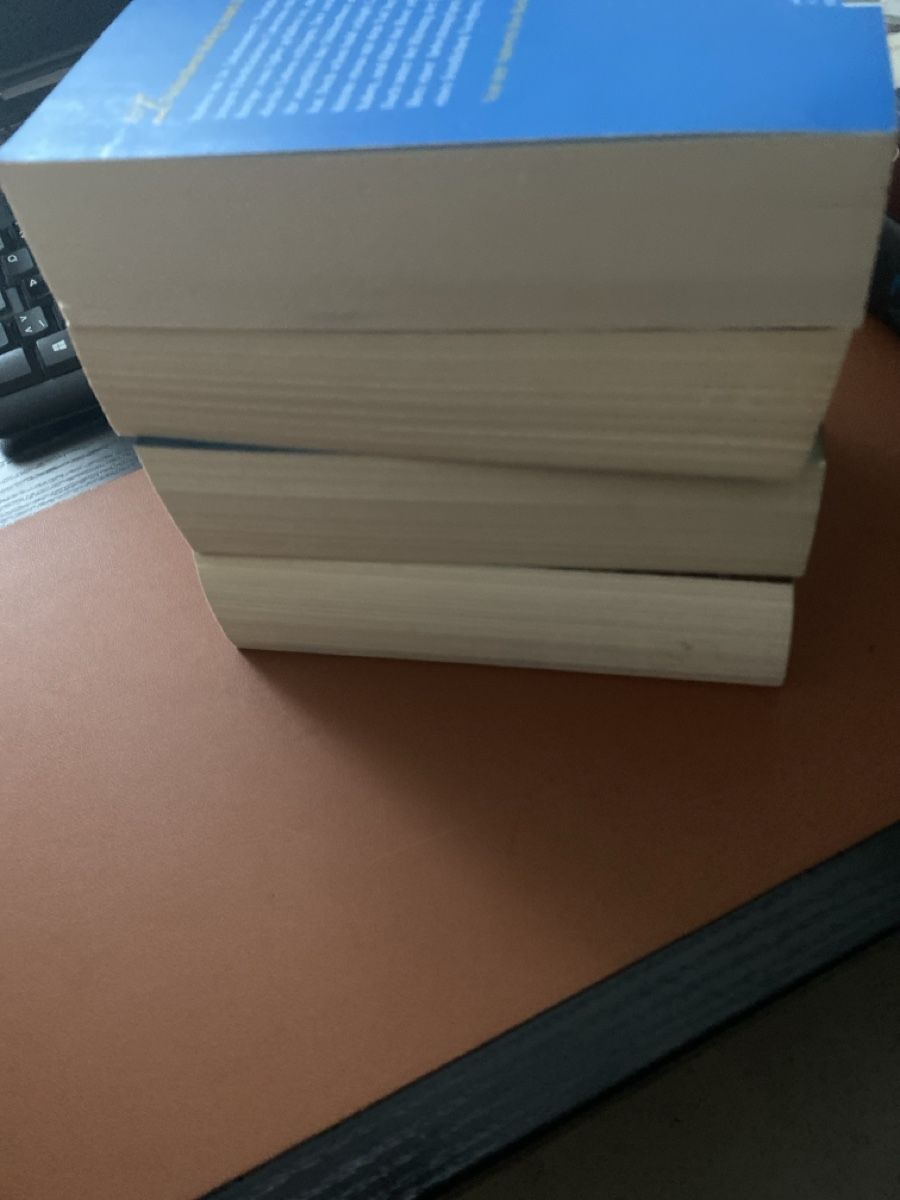 Libri: 4 Iny Lorentz Romane, Top Zustand – Usato da Erlinsbach SO venduto da Silverstorm 3