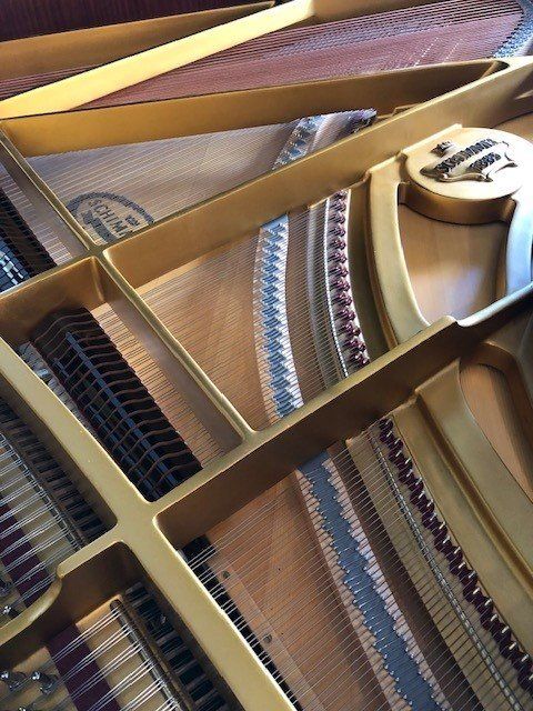 Strumenti musicali: Flügel Schimmel Modell 208, Occasion – Usato da Bern venduto da Heutschipiano 3
