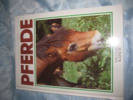 BUCH  PFERDE