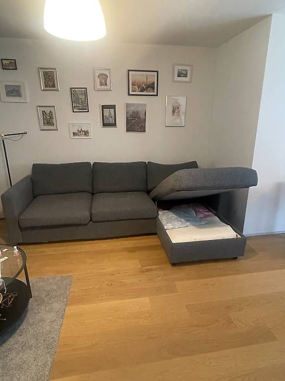 Ikea Sofas: VIMLE 3er-Sofa, grau, mit Bettfunktion & Stauraum – D'occasion à Zürich par mar_7skh 2