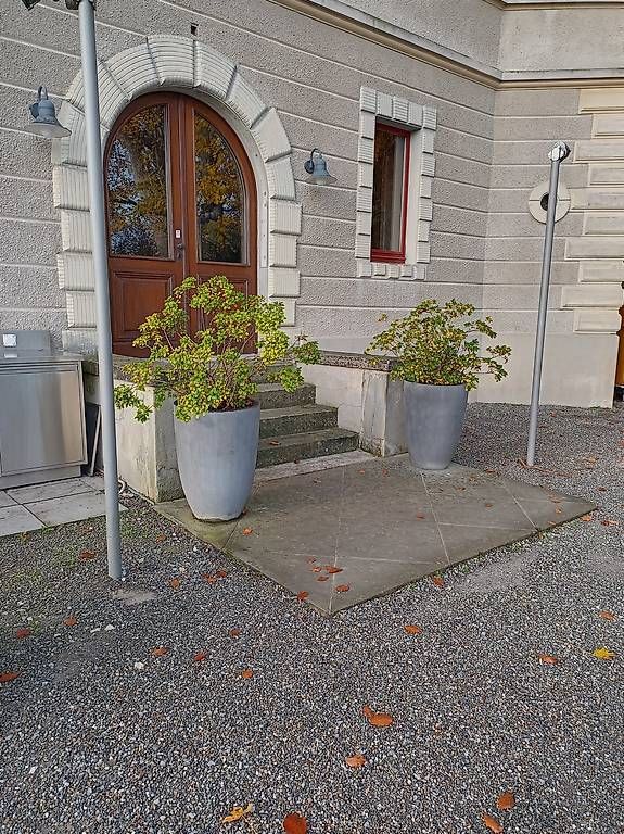 Vasi per fiori: Pflanzentöpfe inkl. Pflanze – Usato da Altnau venduto da ja__2m99
