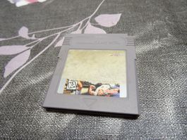 Street Fighter II 2 GAMEBOY