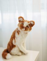Handmade ginger and white cat toy 😻, a charming plush.