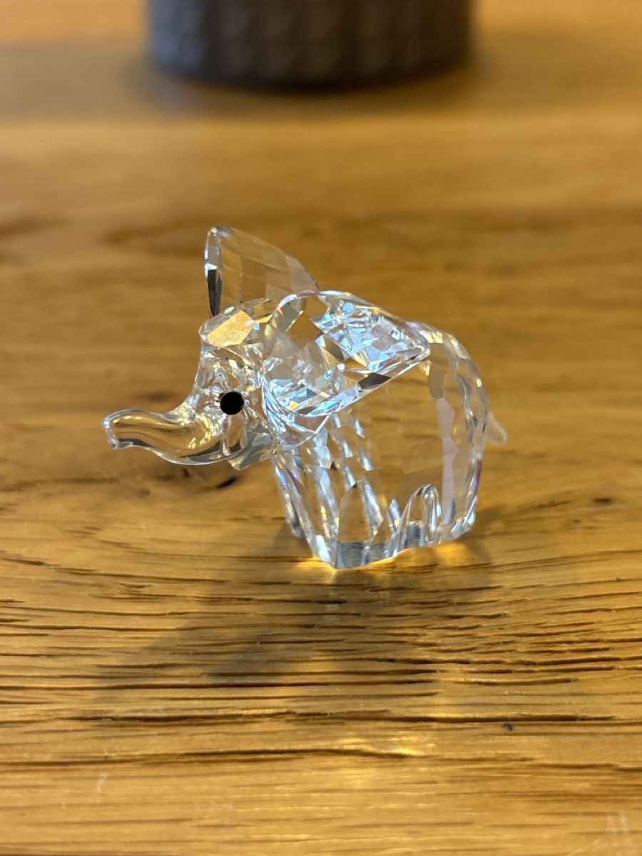 Swarovski Tutte le decorazioni: Swarovski Elephant mit Originalbox – Usato da La Plaine venduto da Spooty67 1