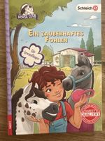 Buch "Ein zauberhaftes Fohlen" für Leseanfänger
