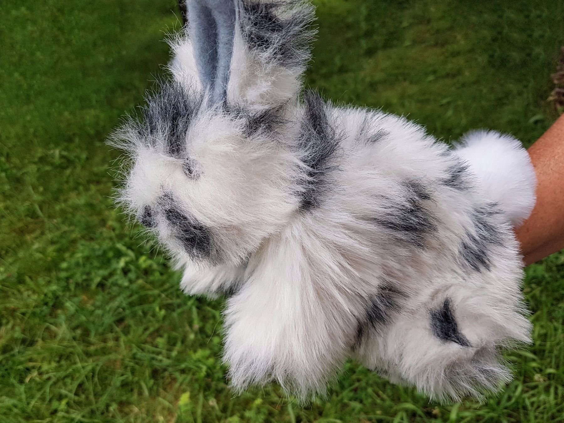 Bambole: FLUPPETS: Handpuppe Hase / NEU – Nuovo e nell'imballaggio originale da Dürrenäsch venduto da Didaedi 2