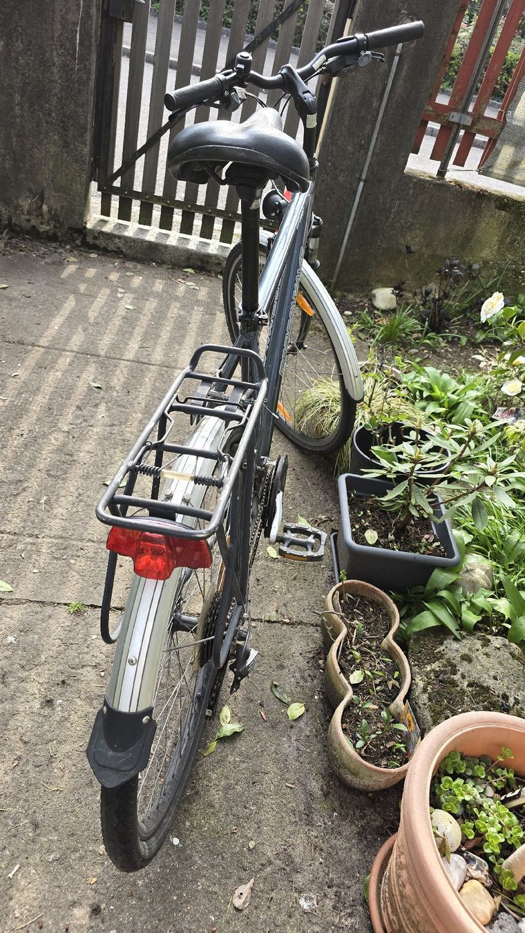 Crosswave Biciclette: Crosswave Cruiser, 52cm Rahmenhöhe – Usato da Muttenz venduto da pixopus 2