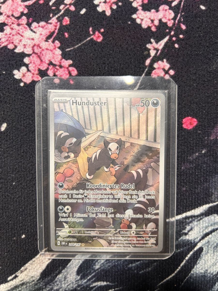Pokémon Sammelbilder & Trading cards: Pokémon Hunduster 204/197 – Neu (gemäss Beschreibung) aus Geroldswil von PamOfficial02 2
