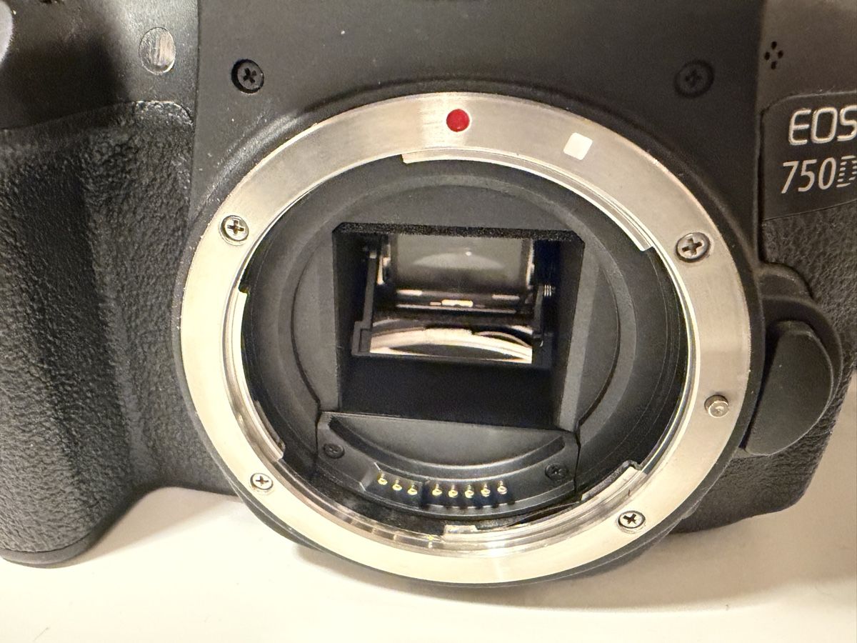 Canon Fotocamera: Canon EOS 750D  – Usato da Basel venduto da Adrien64 2