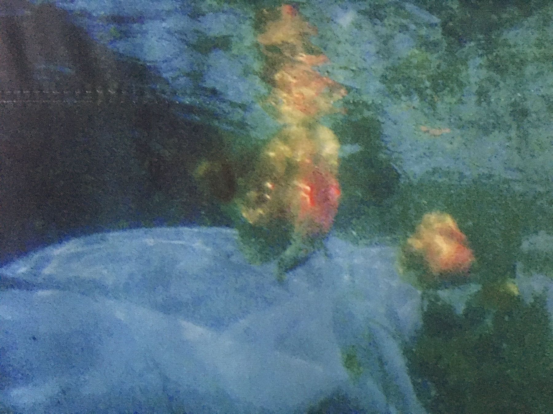 Foto & Immagini: Stoffbild Wassernixen Perlen Rosen See – Nuovo (secondo la descrizione) da Kreuzlingen venduto da Muschel64 2