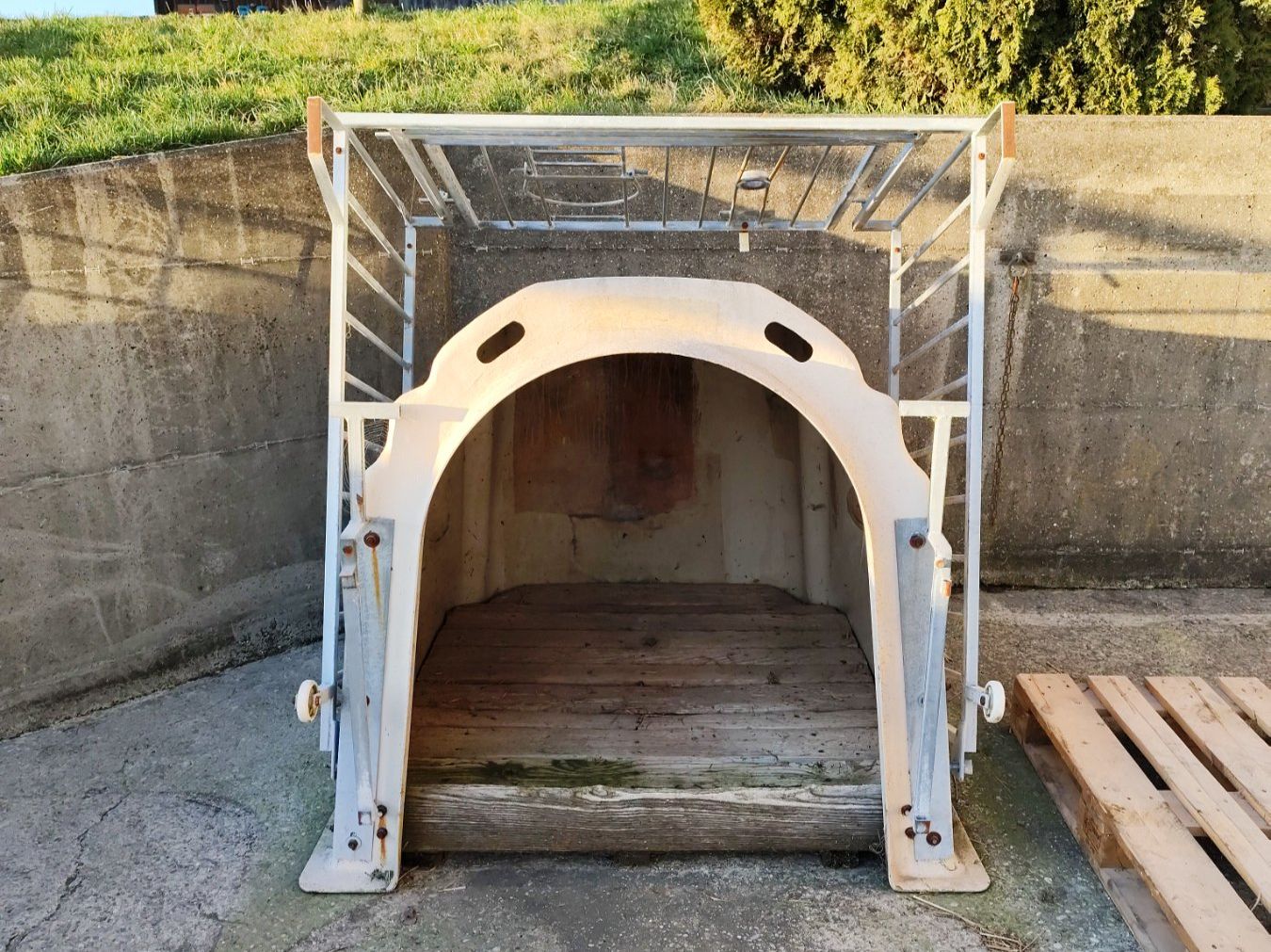 Gabbie, trasporto & Sicurezza: Kälberiglu weiss – Usato da Bernhardzell venduto da dsigi82