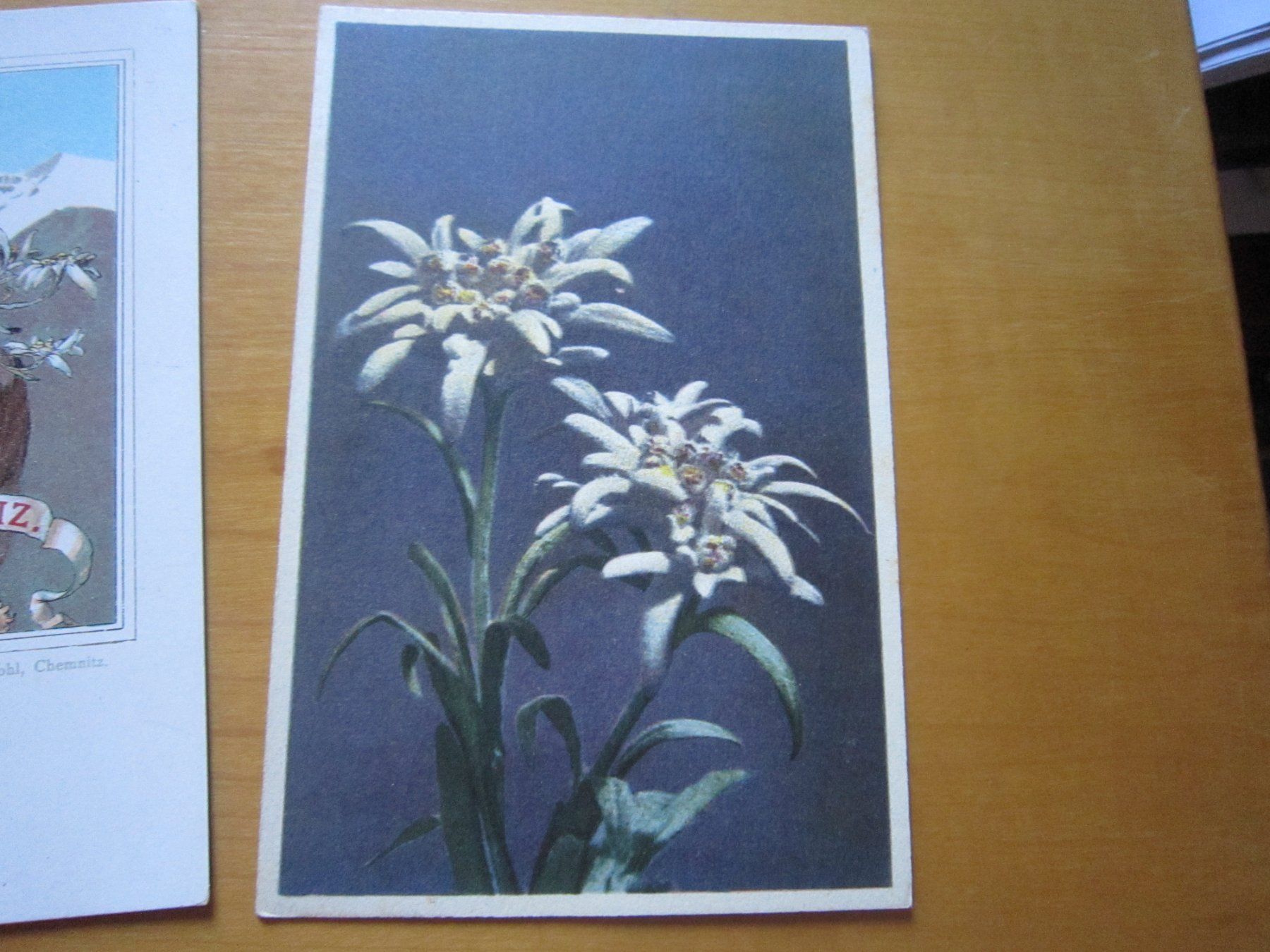 Cartoline postali: No 2 Postkarten Edelweiss verschiedene Perioden – Usato da Gordola venduto da Polentaefung 1