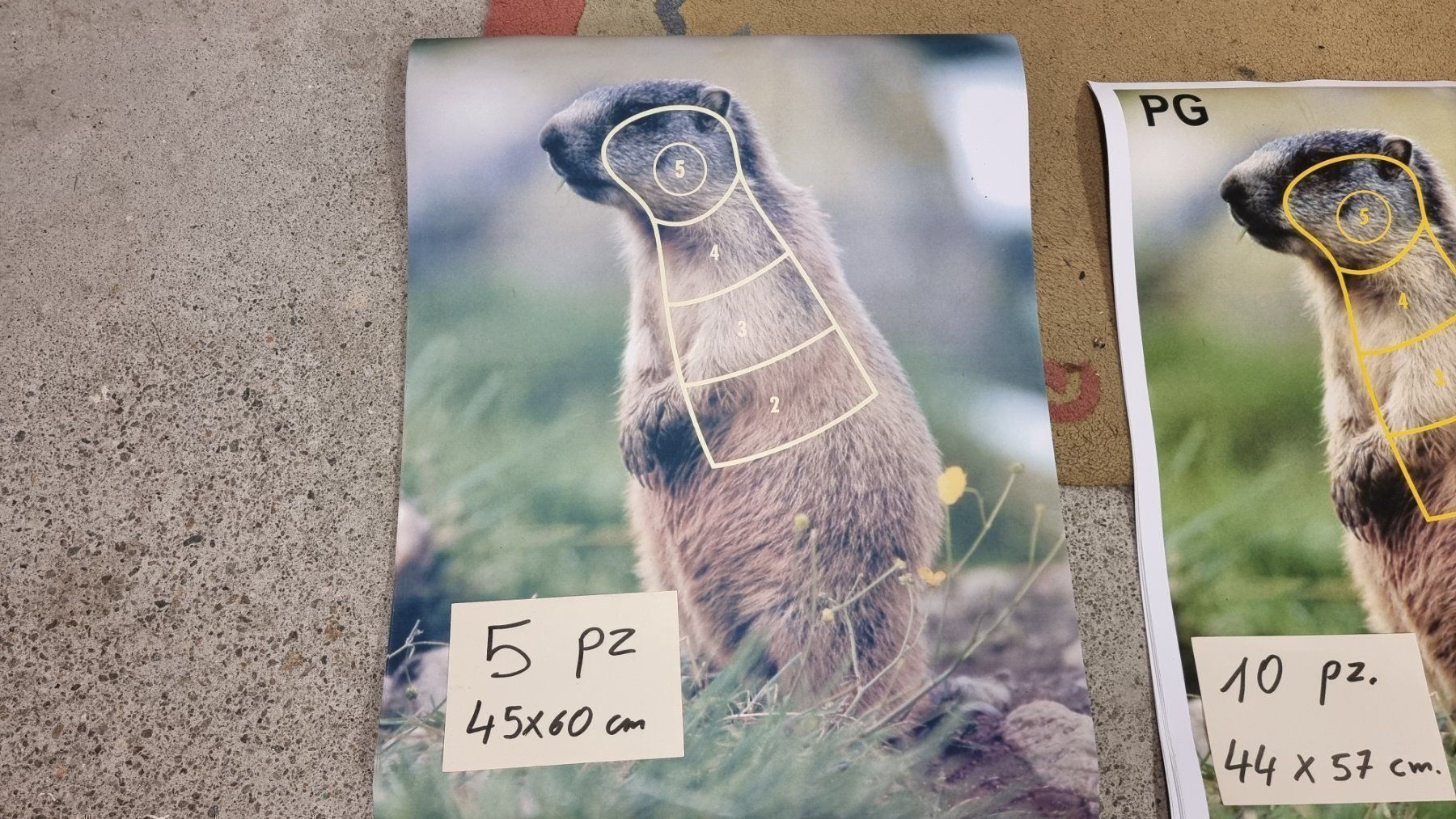 Cartoline postali: MURMERLTIERZIELE – Usato da Cama venduto da anto_a 1