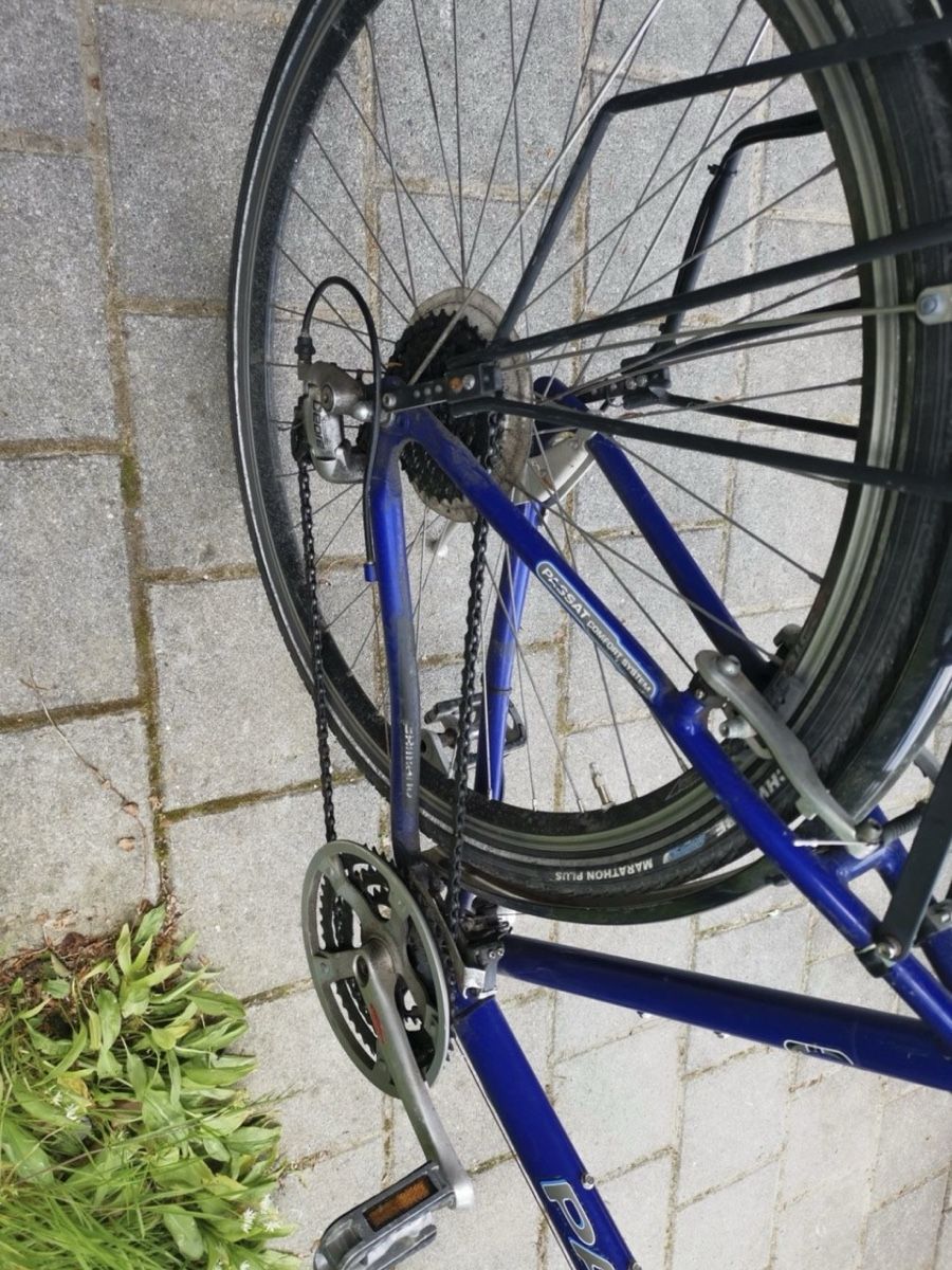 Velos: Passat Manicoure Bicyle – Gebraucht aus Kastanienbaum von davids_closet 3