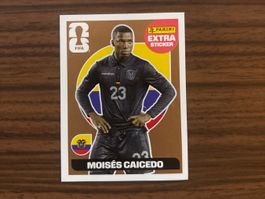 Panini Extra Sticker Moisés Caicedo WM 2026 - Bronze