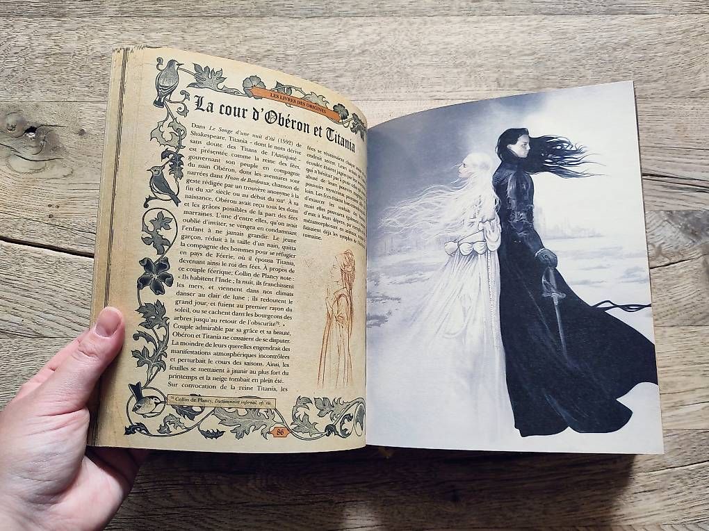 Libri: Lot livres Fantasy – Nuovo (secondo la descrizione) da Yvonand venduto da rox_8y69 1