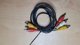Câbles de liaison (Fiche 3 x Cinch, 1 m)