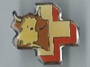 Kuh Pin