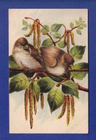 OISEAU - Moineaux