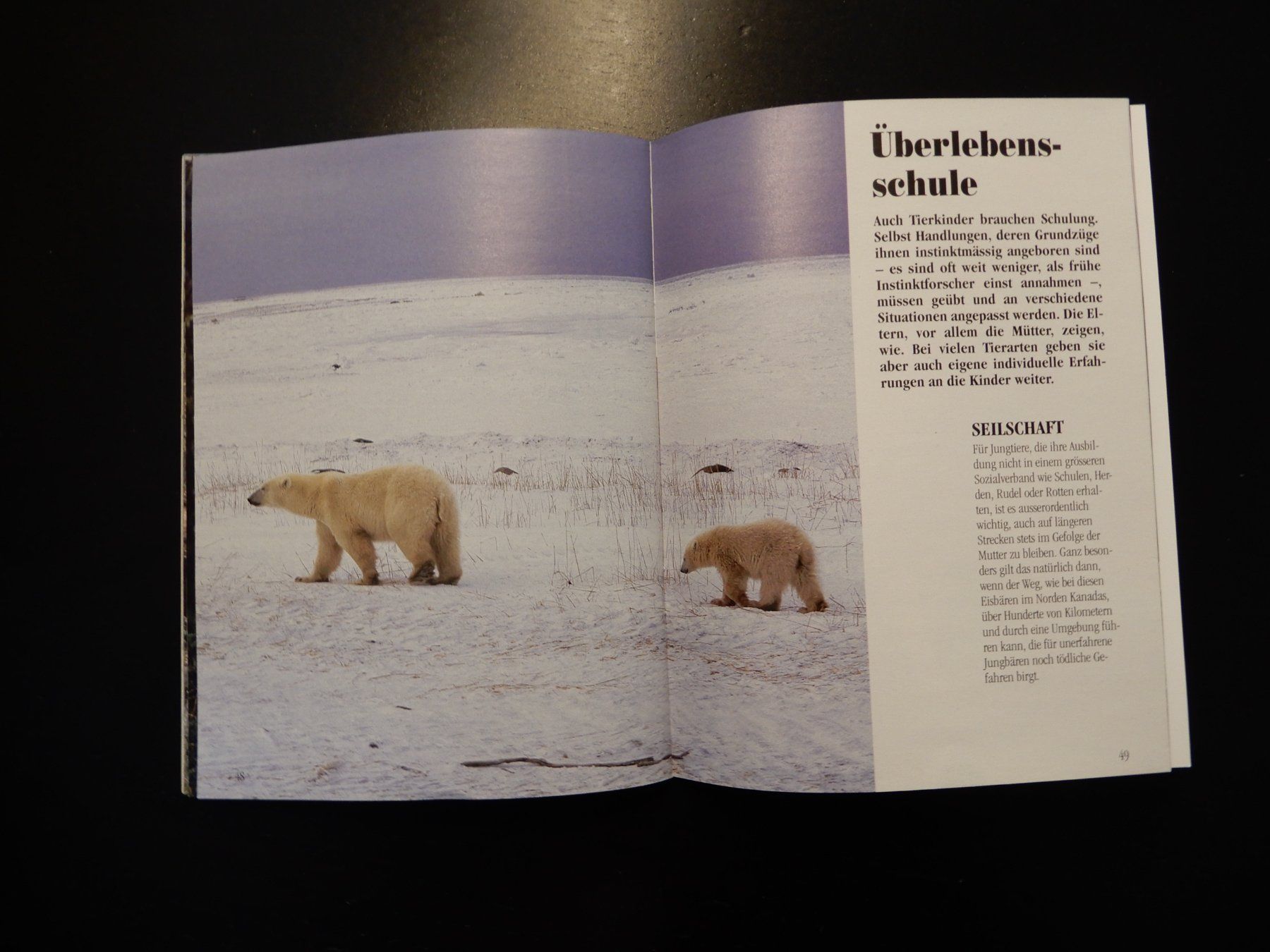 Bücher: Tierbuch "Tiermütter und ihre Kinder" STS – Gebraucht aus Erstfeld von Mario_boe0 6