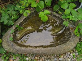 Vogeltränke Vogelbad