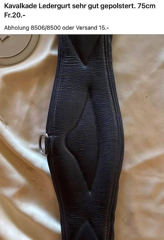 Selle & Accessori: Sattelgurt diverse Grössen und Materialien – Usato da Lanzenneunforn venduto da vario714 2