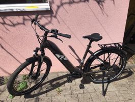 Raymond Cross E-Bike