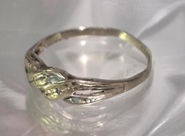 alter Ring