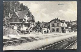 Sihlbrugg/Bahnhof, Station/Pferdewagen ~1922, siehe Zustand