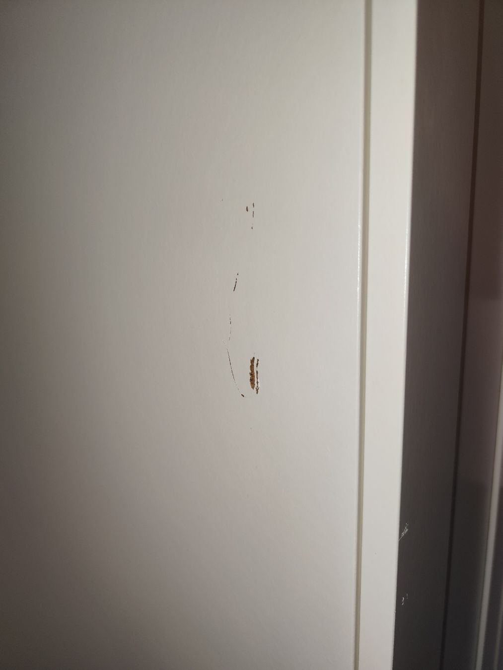 Ikea Armadi: Ikea Kleiderschrank "Brimnes" – Usato da Bern venduto da Meeresalgen 5