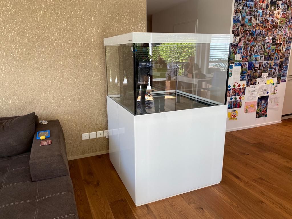 Acquari: Meerwasser Aquarium 100x100x70 – Nuovo (secondo la descrizione) da Berikon venduto da fischundart