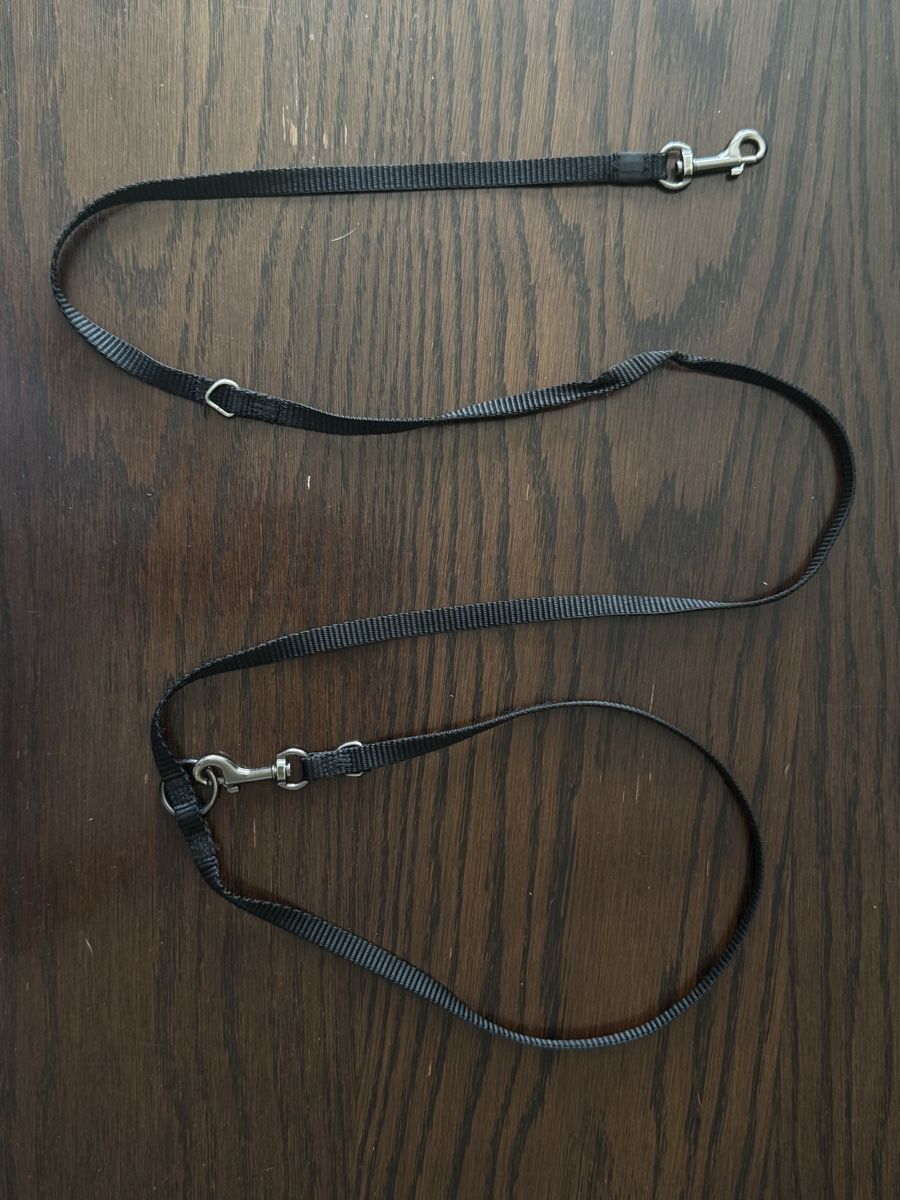Leine & Halsband: Hundeleine 140cm – Gebraucht aus Binningen von Dan_Shachar 1