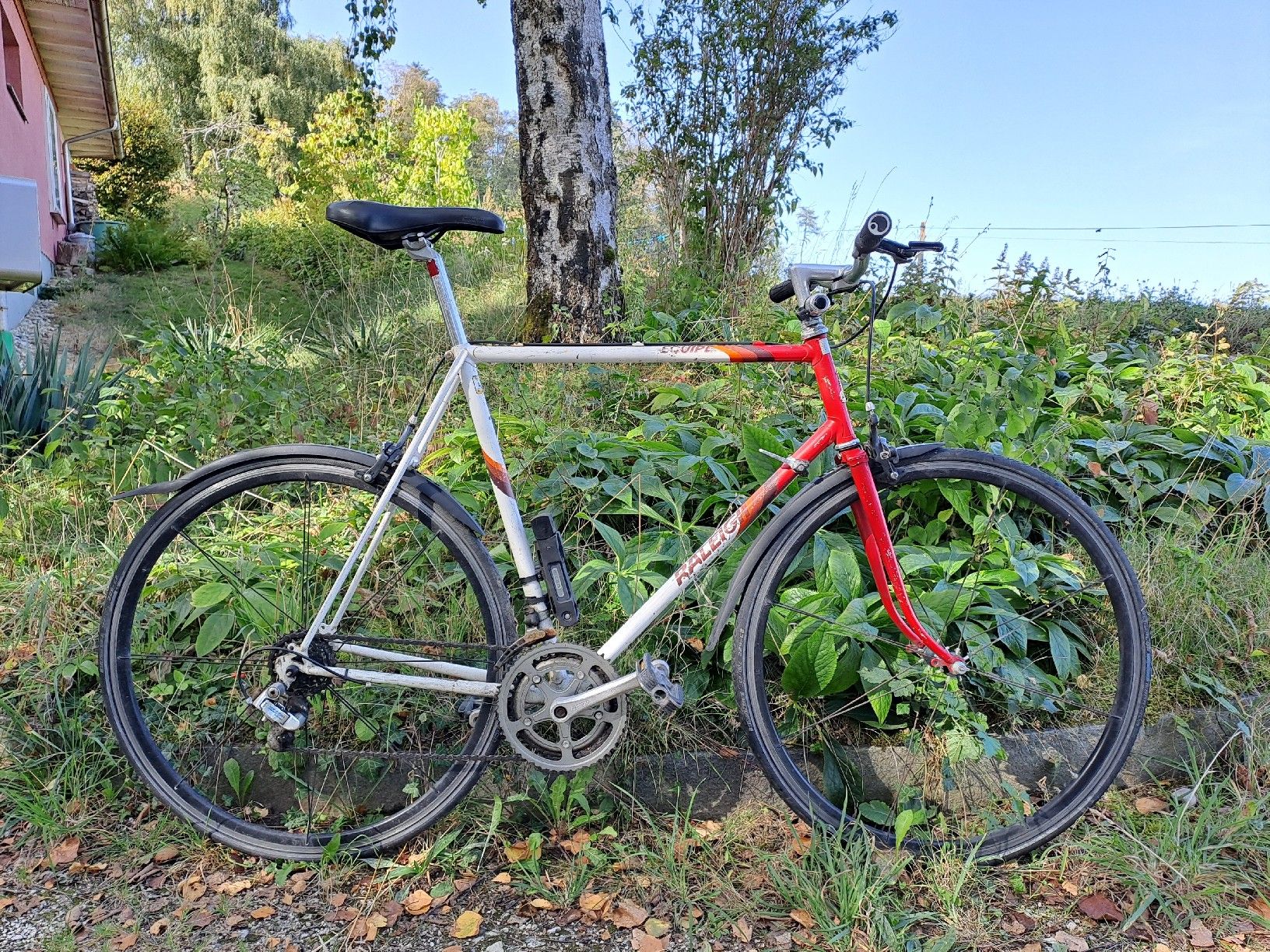 Raleigh Biciclette: Raleigh Equipe Rennvelo / vélo de course – Usato da Münchenwiler venduto da Martin_Riedi