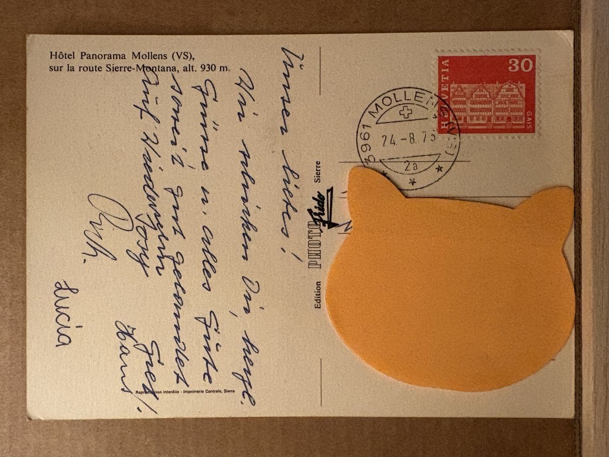 Cartoline postali: AK von Hotel Panorama in Mollens – Usato da Rümlang venduto da Kartenpost1 1