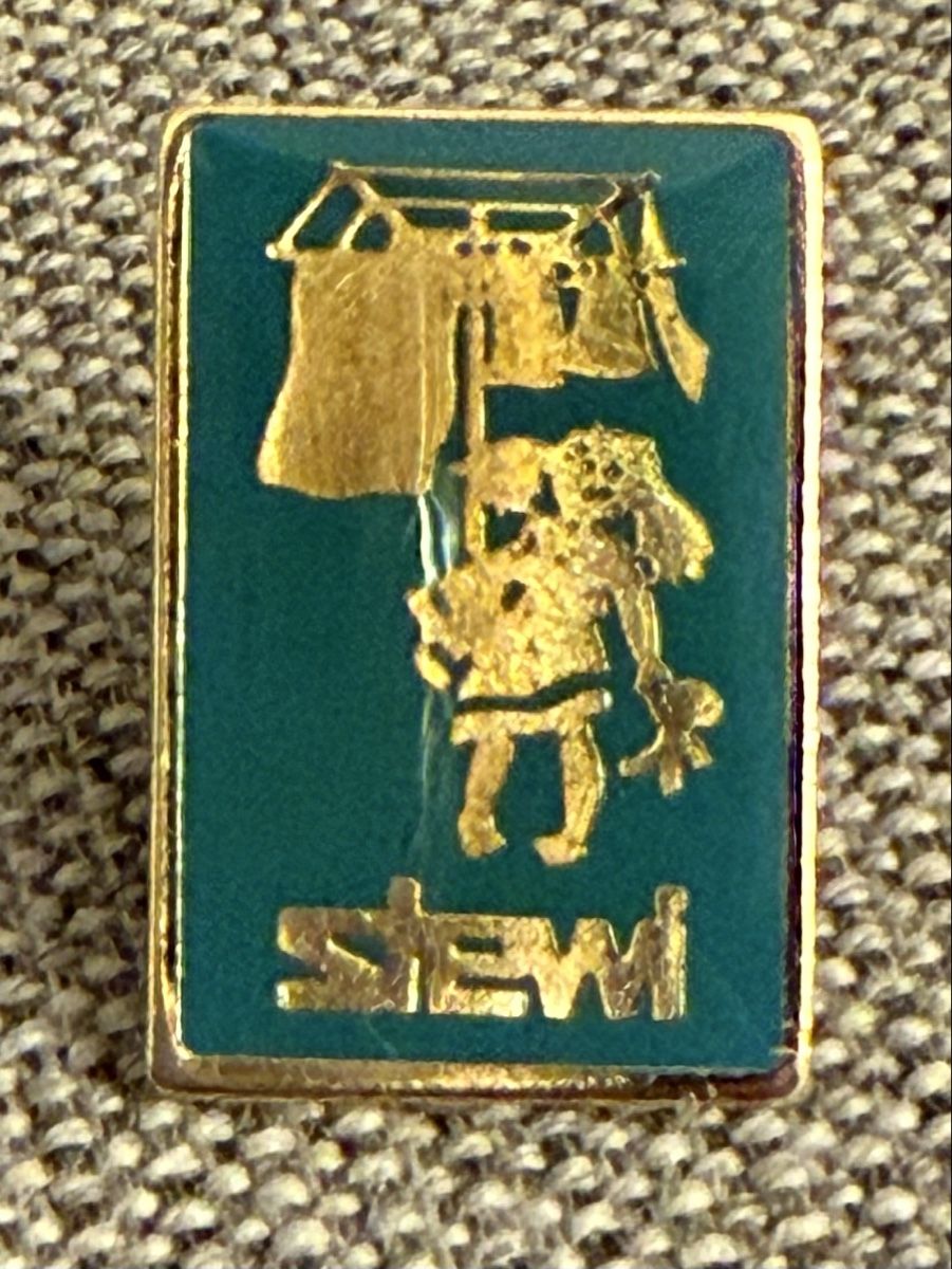Spille & Fermagli: Pin – Usato da Winterthur venduto da gutDingmint 2